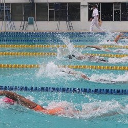 Tiga Atlet Pelatnas Asian Games Dominasi Kejurnas Renang