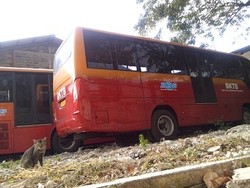 Dua Bus TransJ di PT Sinde Jaya Mangkrak Tak Diperbaiki