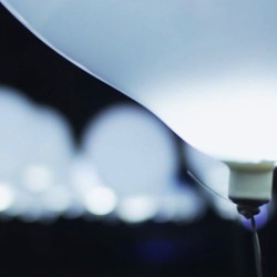 256 Balon Mengalun Terbawa Musik di Udara