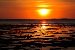 Mari Elka Pangestu: Ayo Lirik Banyuwangi!