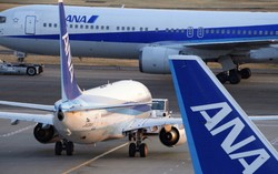 Maskapai Jepang ANA Sajikan Makanan Halal di Pesawat