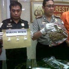 Simpan Ganja dan Sabu, WN Australia Diamankan