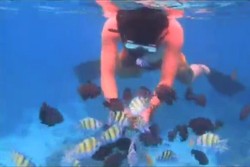 Kejahilan Budhi Doremi & Kelucuan Fansnya di Pulau Weh