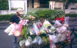Belanja di Tukang Sayur, Bahan Lebih Segar dan Lebih Hemat