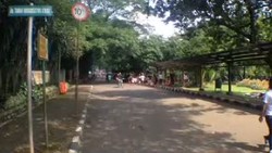 Dua Hari Libur Berdekatan, Ragunan Kebanjiran Wisatawan
