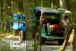 Menjajal Mobil Gerandong yang Aneh di Alas Purwo