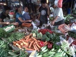 Harga Wortel di Banda Aceh Naik 2 Kali Lipat Jelang Ramadan