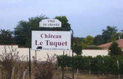 Jalan-jalan ke Barcelona, Mampir Dulu ke Kebun Anggur