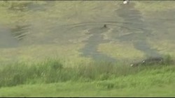 Nekat Kabur Melintasi Danau, 2 Perampok Ini Tetap Dibekuk Polisi