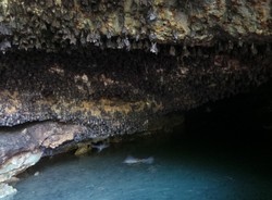 Inilah Markas Batman di Tuban