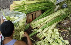 Di Palmerah Ada Pusat Penjualan Janur untuk Penjor dan Ketupat