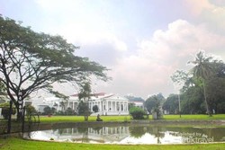 Istana Bogor yang Dari Jauh Saja Sudah Memesona