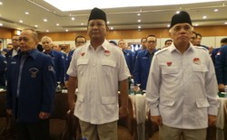Ibas: Mudah-mudahan Saya Bisa Pasang Pin Prabowo-Hatta di Dada