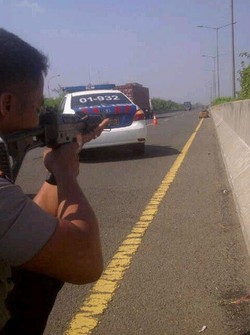 2 Sapi yang Ditembak Mati di Tol JORR Sempat Seruduk Mobil Polisi