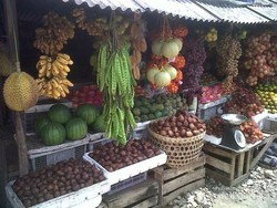 Patuk, Surga Buah di Gunungkidul