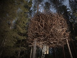 Sarang Burung Raksasa, Hotel Aneh di Swedia