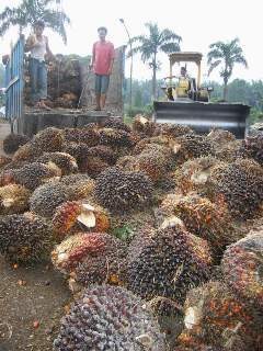 Ini Penyebab Penurunan Ekspor RI pada April