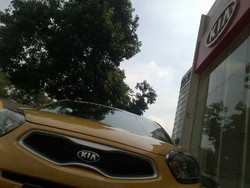 KIA Masih Pikir-pikir Buat Morning Bertransmisi Otomatis