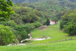 Cantiknya Perternakan Sapi Ala Amerika di Taiwan