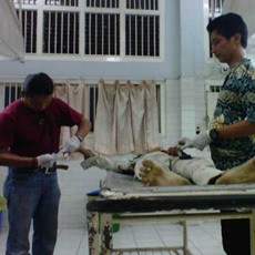 Melawan Saat Ditangkap, Seorang Pelaku Pencurian Motor Ditembak Mati