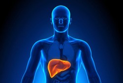 Ini Syarat dan Prosedur Transplantasi Hati untuk Anak-anak