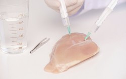 Benarkah Ayam Broiler Pemicu Kanker?