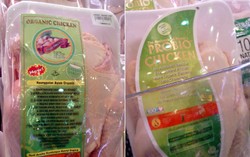 Inilah Keunggulan Ayam Organik dan Probiotik Dibanding Ayam Biasa
