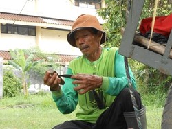 Mbah Muhridin Gembala Sapi yang Geram dengan Korupsi Impor Sapi