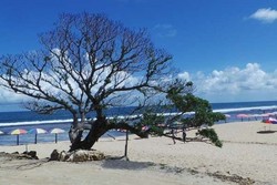 Kalau yang Ini, 5 Pantai Favorit Turis di Gunungkidul