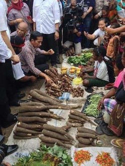 Melintas di Jalan Raya, Jokowi Dicegat Warga Jayapura Pasangkan Topi Adat