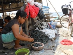 Cerita Ibu Rina yang Diupah Rp 7.500 untuk Mengupas Seember Kerang