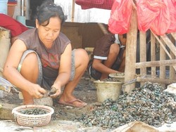 Cara Bu Rina Pengupas Kerang Bersosialita Bersama Ibu-ibu Kampung Nelayan