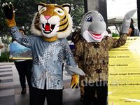 Macan dan Lumba-lumba Lapor Kekayaan ke KPK