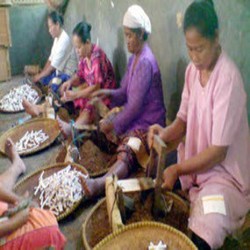 Para Karyawan Sampoerna Korban PHK Dapat Jaminan Hari Tua Rp 31 Miliar