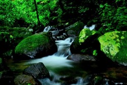 Mandi di Curug Cilember Bogor, Konon Bisa Bikin Awet Muda