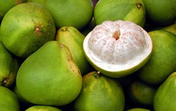 Jeruk Bali, Jeruk Besar yang Tak Berasal dari Bali