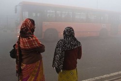 Apakah Polusi udara Mempengaruhi Kesehatan Jantung dan Paru-paru?