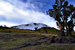 Pendakian Seru di Gunung Merbabu