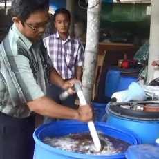 Sarjana Hukum Sukses Olah Tanaman Tak Berguna Jadi Pupuk Organik Cair