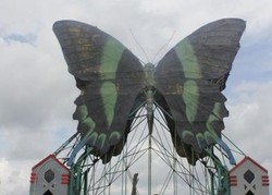 Masuk ke Kerajaan Kupu-kupu