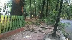 4 Penumpang Terluka Akibat Kopaja Nabrak Pohon di Jl Gunawarman