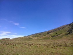 Menjelajah Bukit Teletubbies di Bromo