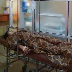 Seorang Tetangga Gorok Leher Korban karena Menolak Saat Diperkosa