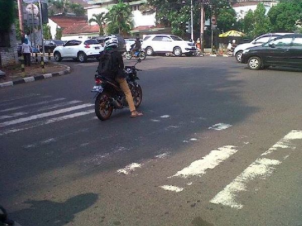 Celingukan Cari Teman di Zebra Cross