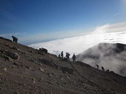Mengapa Anda Harus Mendaki Gunung Merapi?