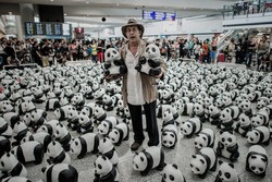 1.600 Boneka Panda Serbu Traveler di Bandara Hong Kong