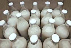 Diminati Pria Dewasa, ASI Olahan Jadi Bisnis Menggiurkan