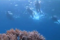 Keindahan Pulau Saronde dan Pemandangan Bawah Airnya