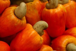 Jus Jambu Monyet Kaya Vitamin C, Jus Andalan Orang Brazil