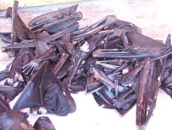 Dari Tikus sampai Ular, Beragam Kuliner Ekstrem di Tomohon